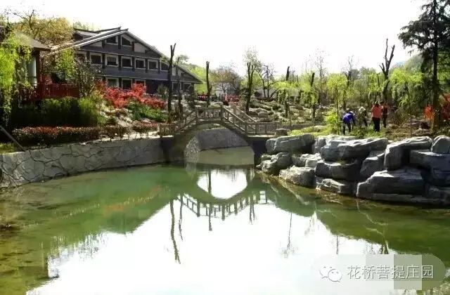 這個周末，隴南康縣花橋有大事要發(fā)生？