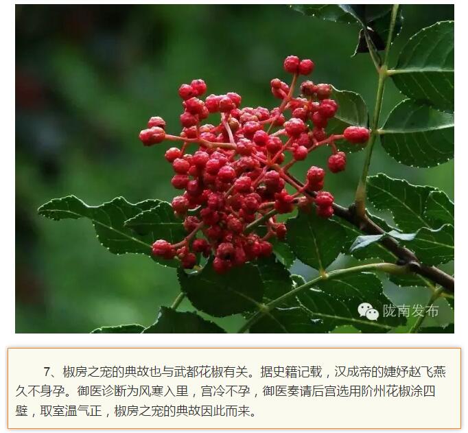 蘭渝鐵路最早由孫中山先生提出？在隴南，你不知道的事兒還有……