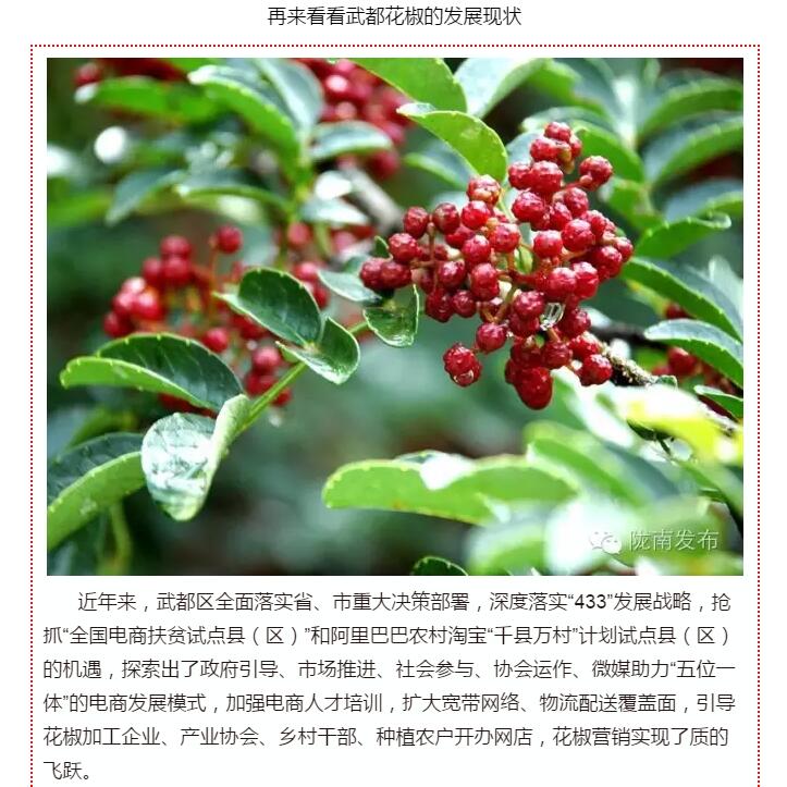 5.28億！一場盛會，武都花椒“火”了