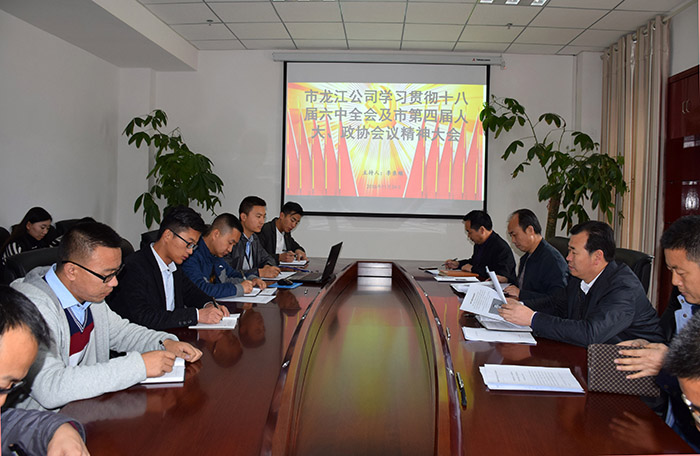 市龍江公司召開全體員工大會，專題傳達學(xué)習(xí)上級會議精神