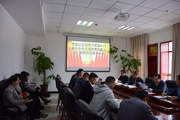 市龍江公司召開全體員工大會，專題傳達學(xué)習(xí)上級會議精神
