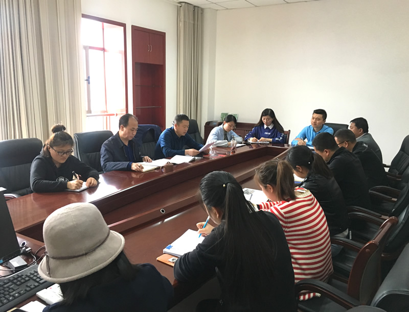 市龍江城鄉(xiāng)發(fā)展集團專題學習近期中央、省、市紀律檢查委員會議精神