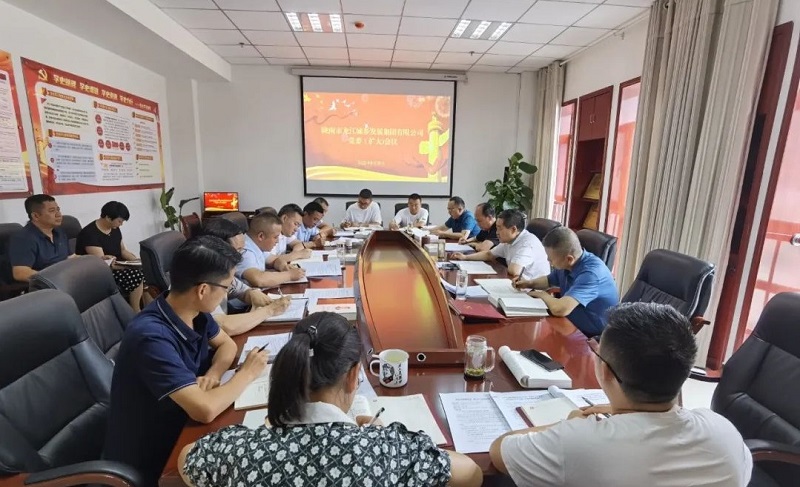 市龍江集團(tuán)召開黨委（擴大）會議