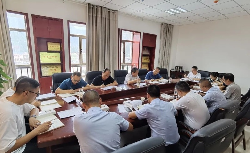 市龍江集團(tuán)召開黨委（擴大）會議